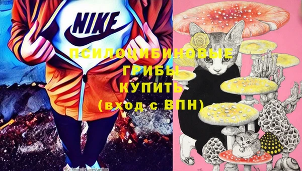 альфа пвп Богданович